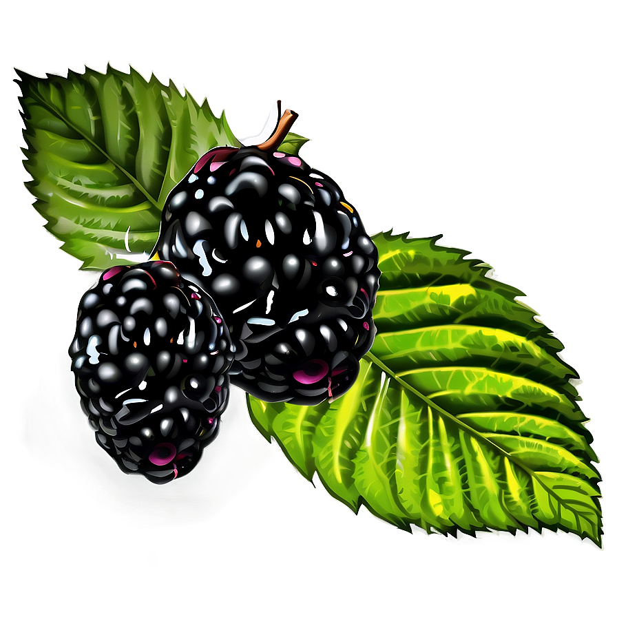 Blackberry Collection Png Iqg32 PNG Image