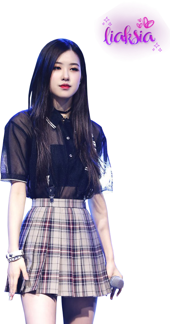 Blackpink Member Stage Performance PNG Image