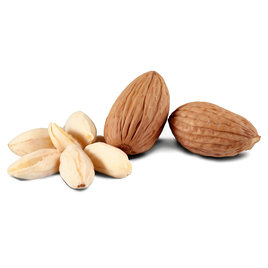 Blanched Almond Png Cap PNG Image