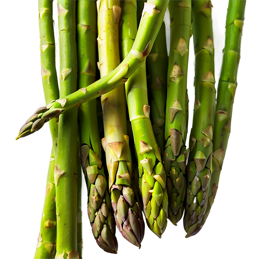 Blanched Asparagus Png 06122024 PNG Image