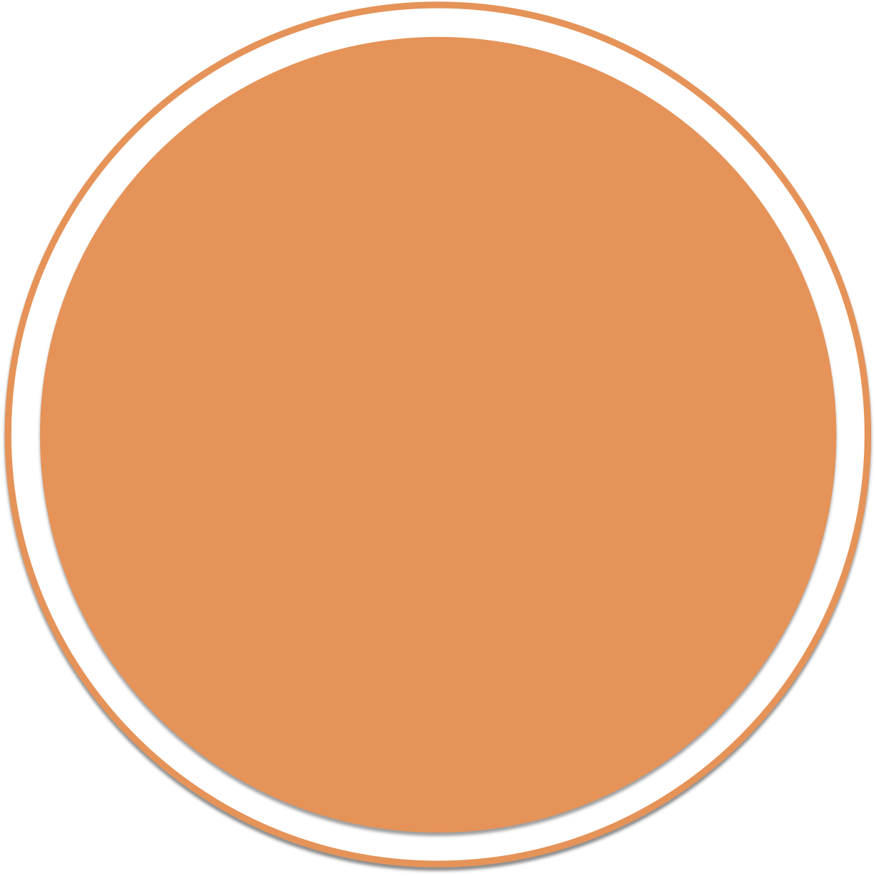 Blank Orange Circle Graphic PNG Image