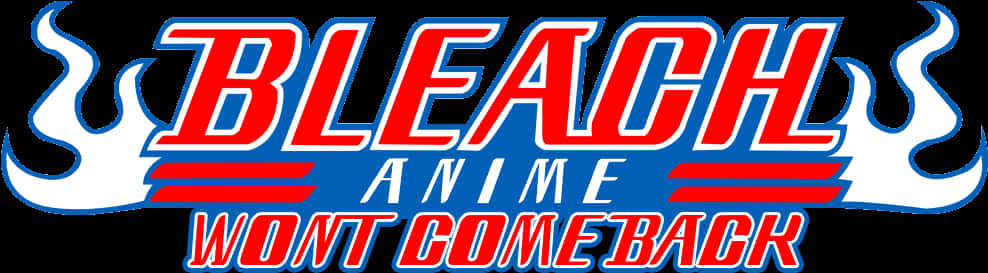 Bleach Anime Return Statement PNG Image