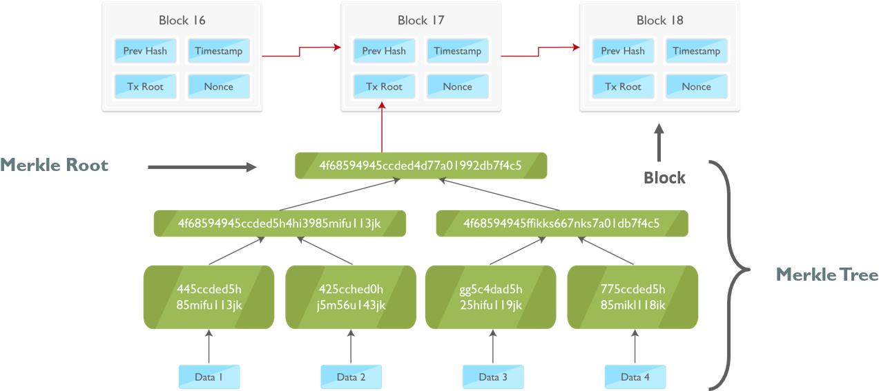 Blockchain Structure Explained PNG Image