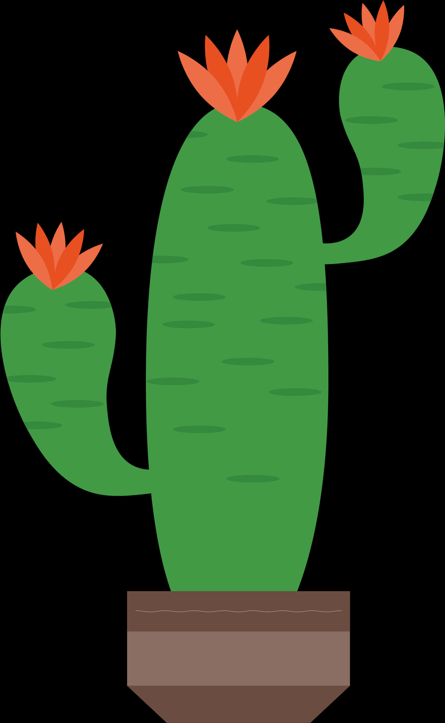 Blooming Cactus Vector Illustration PNG Image