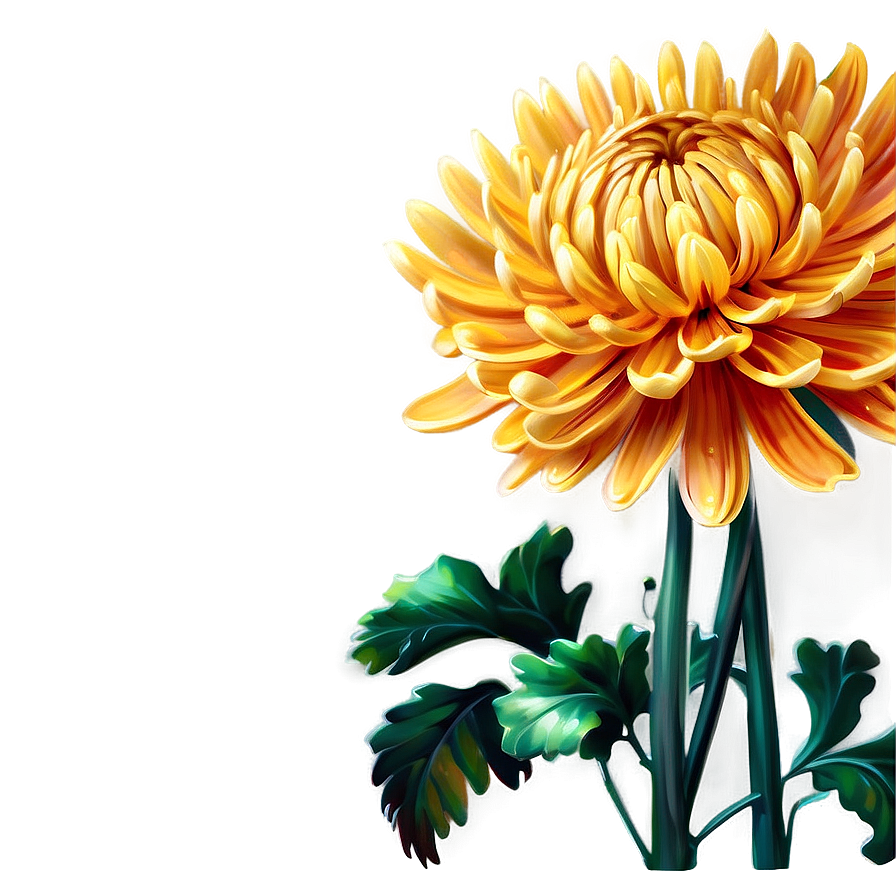 Blooming Chrysanthemum Png Ima PNG Image