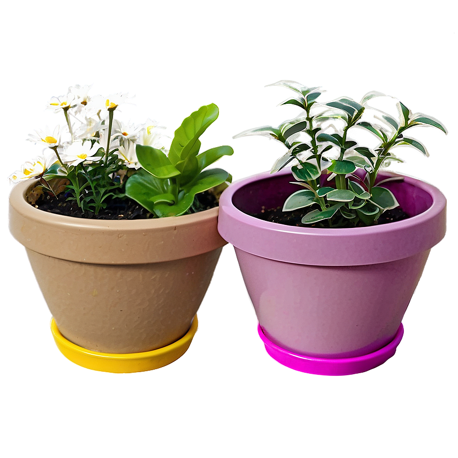 Blooming Flower Pots Png Dcn PNG Image