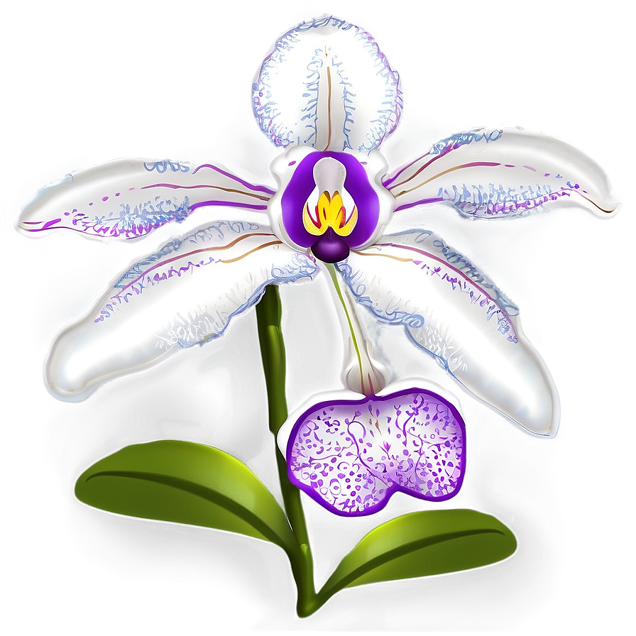 Blooming Orchid Spring Png Uew PNG Image