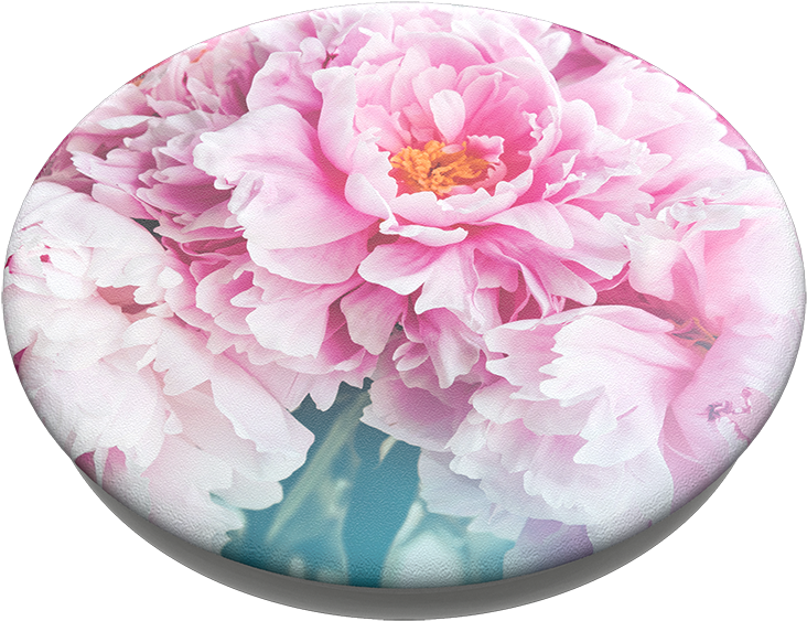 Blooming Pink Peony Flower PNG Image