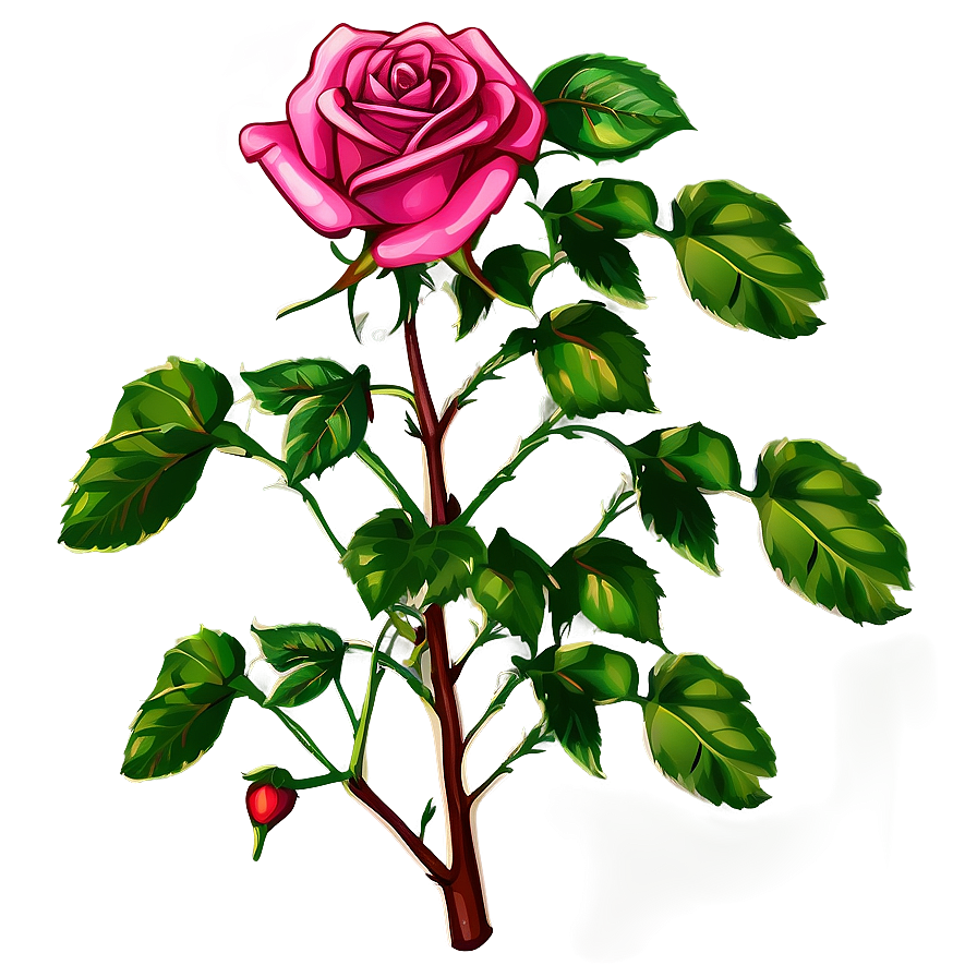 Blooming Pink Rose Stem PNG Image