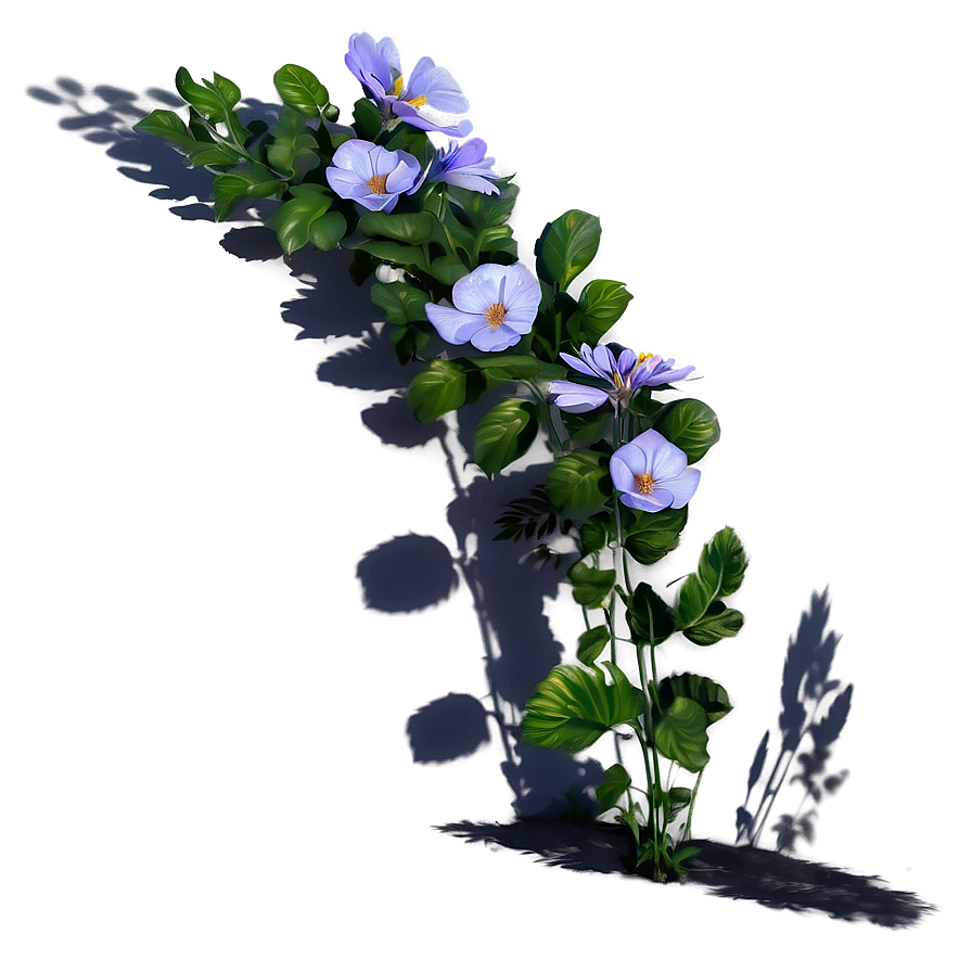 Blooming Plant Shadow Feature Png Cwt PNG Image