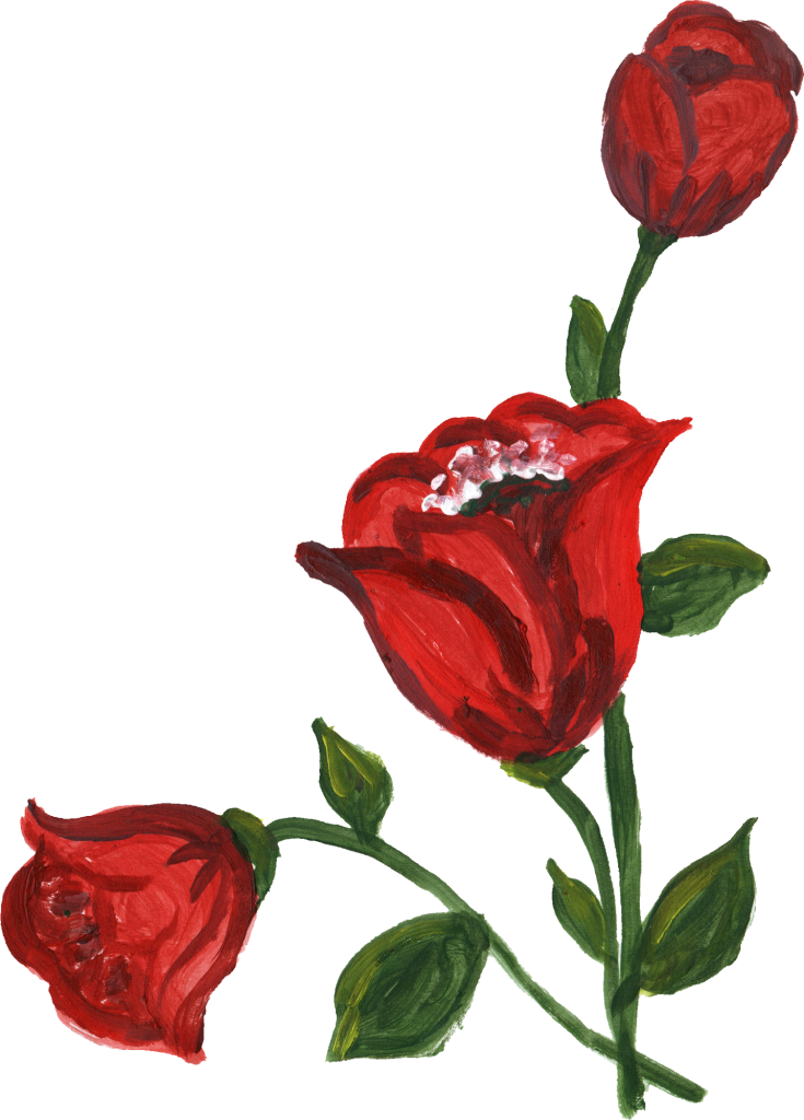 Blooming Red Rose Artwork PNG Image