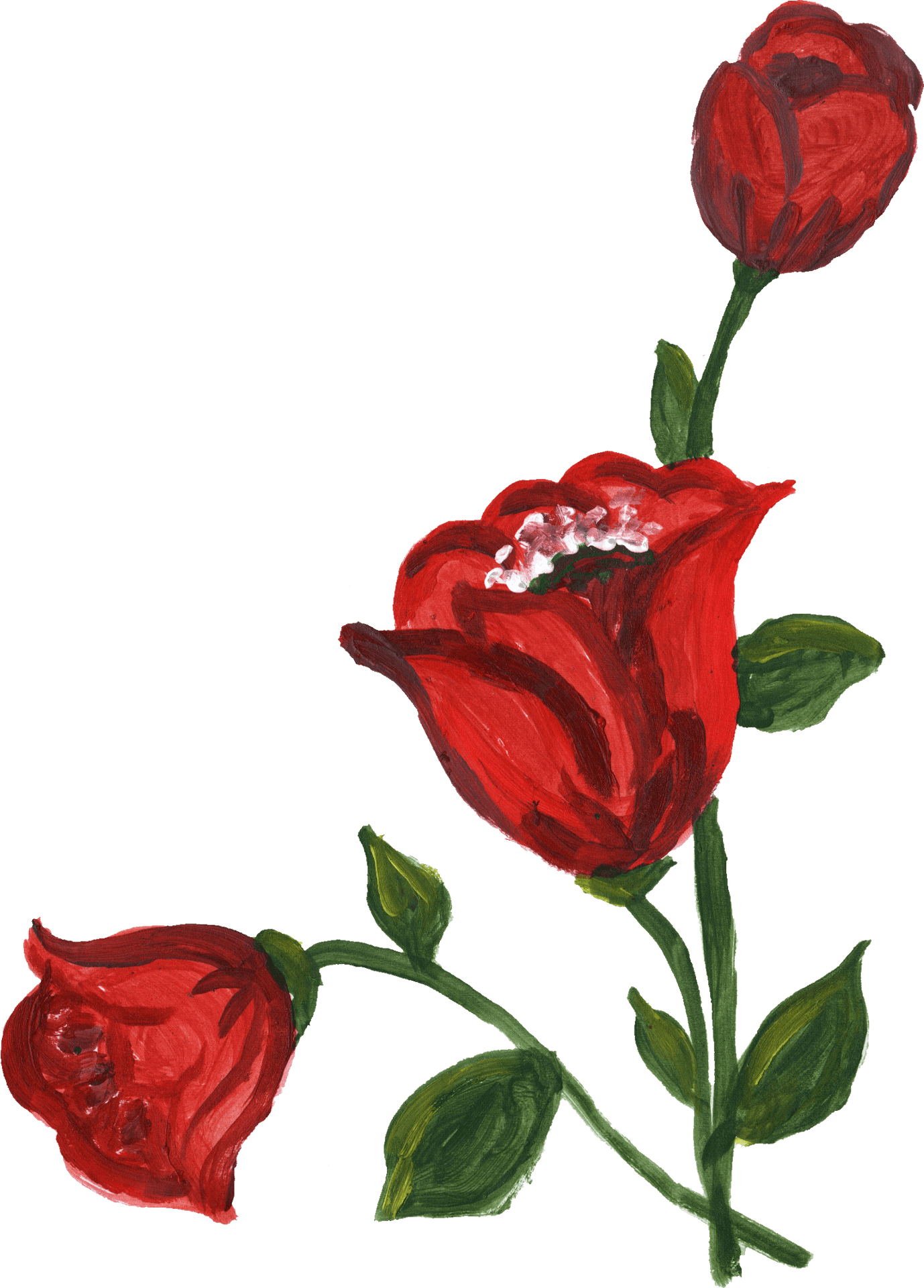 Blooming Red Rose Artwork PNG Image