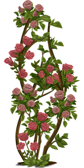 Blooming Rose Vine Artwork PNG Image