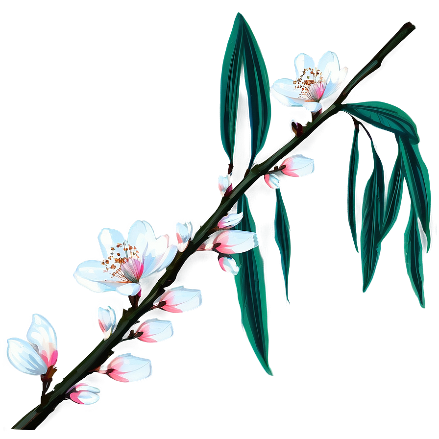 Blossom Branch Png 06252024 PNG Image