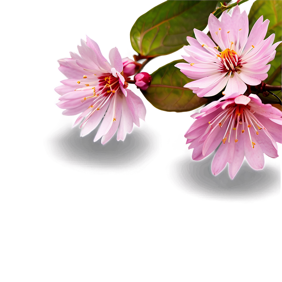 Blossom Clipart Png Wbm PNG Image