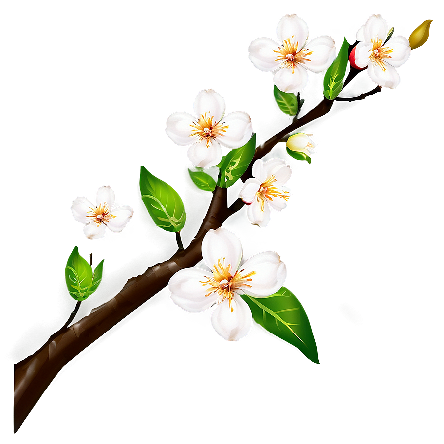 Blossom Theme Png 06252024 PNG Image