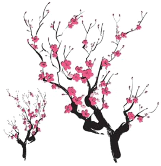 Blossoming Cherry Branches.png PNG Image