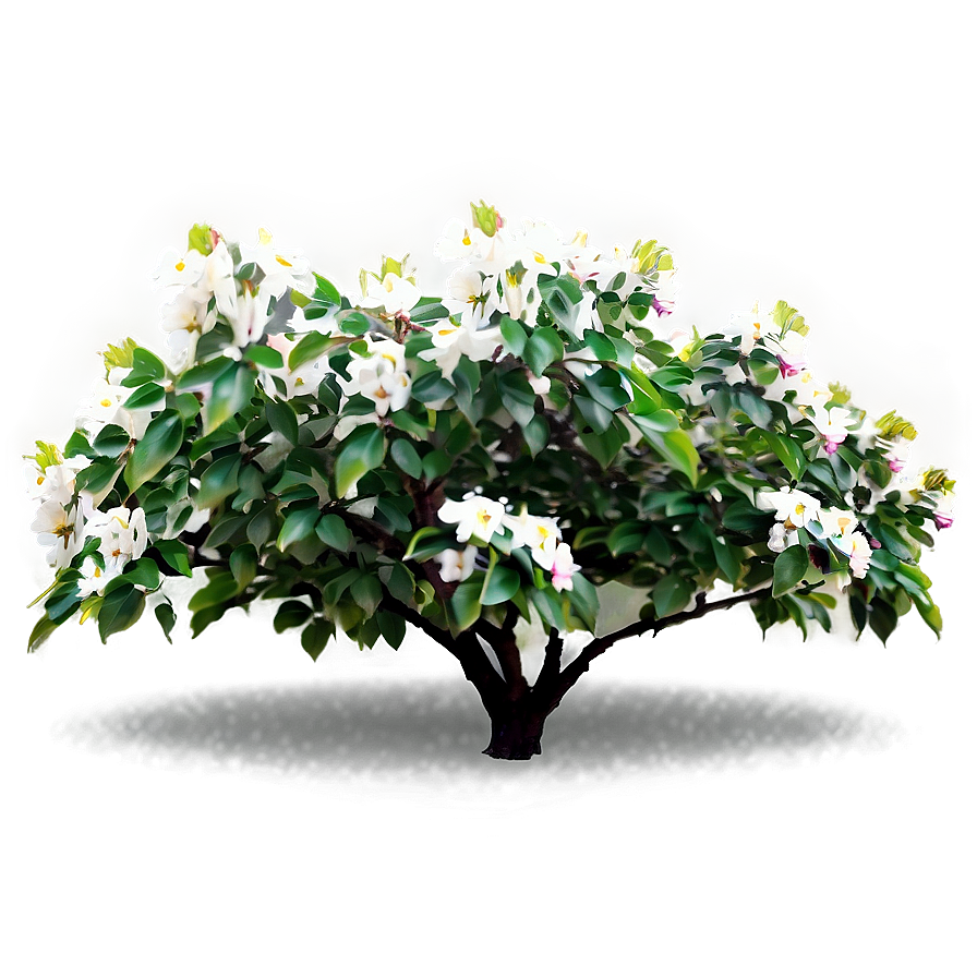 Blossoming Flower Bush Png Nbv81 PNG Image