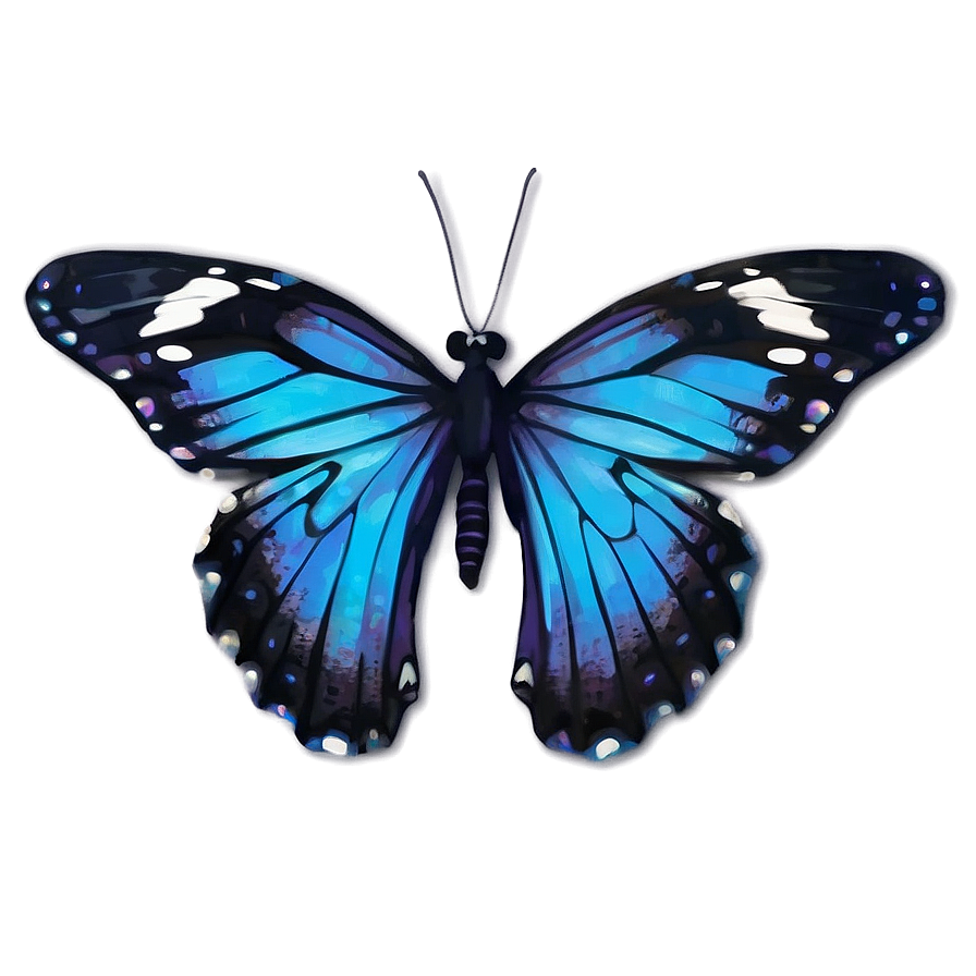 Blue And Black Butterfly Png 74 PNG Image