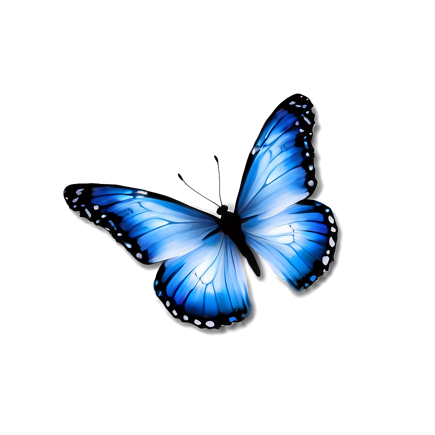 Blue And White Butterflies Png 66 PNG Image