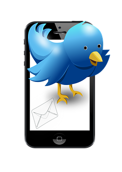 Blue Bird Emergingfrom Smartphone PNG Image