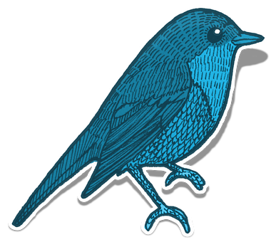 Blue Bird Illustration PNG Image