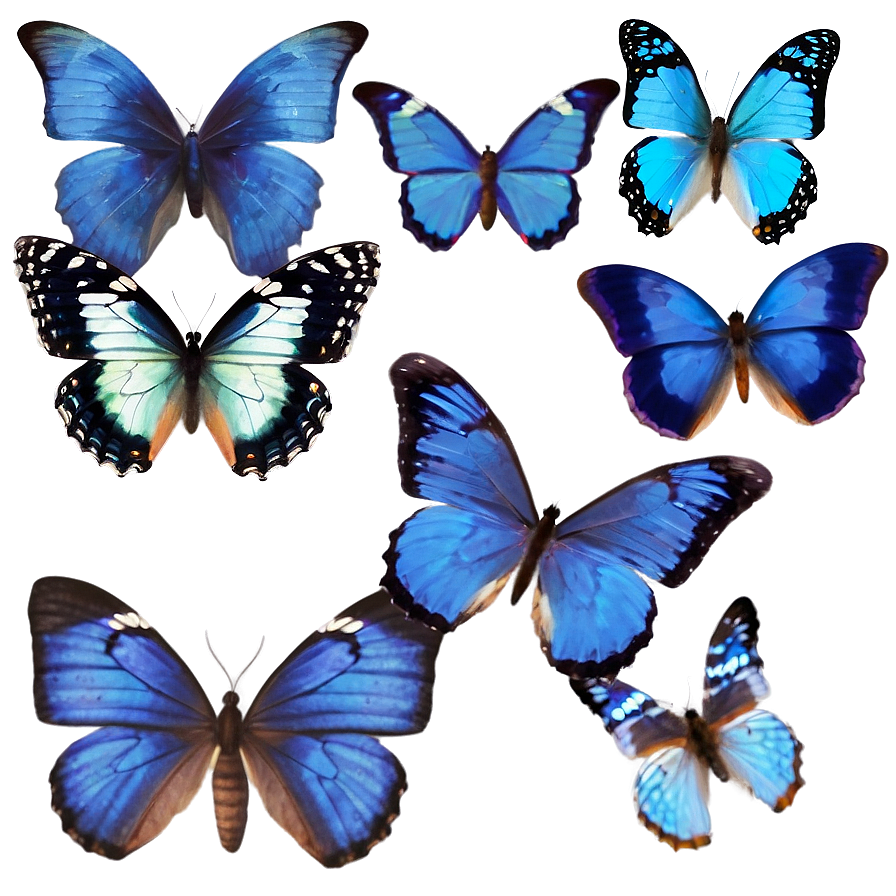 Blue Butterflies Png 27 PNG Image