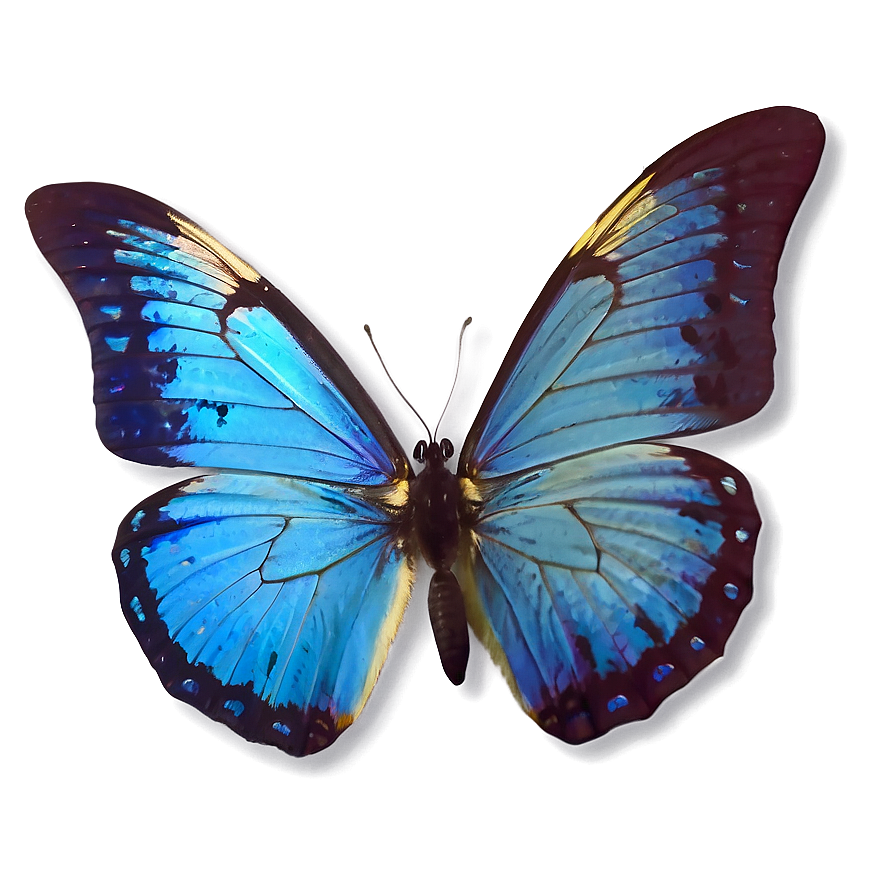 Blue Butterflies Png Rtw41 PNG Image