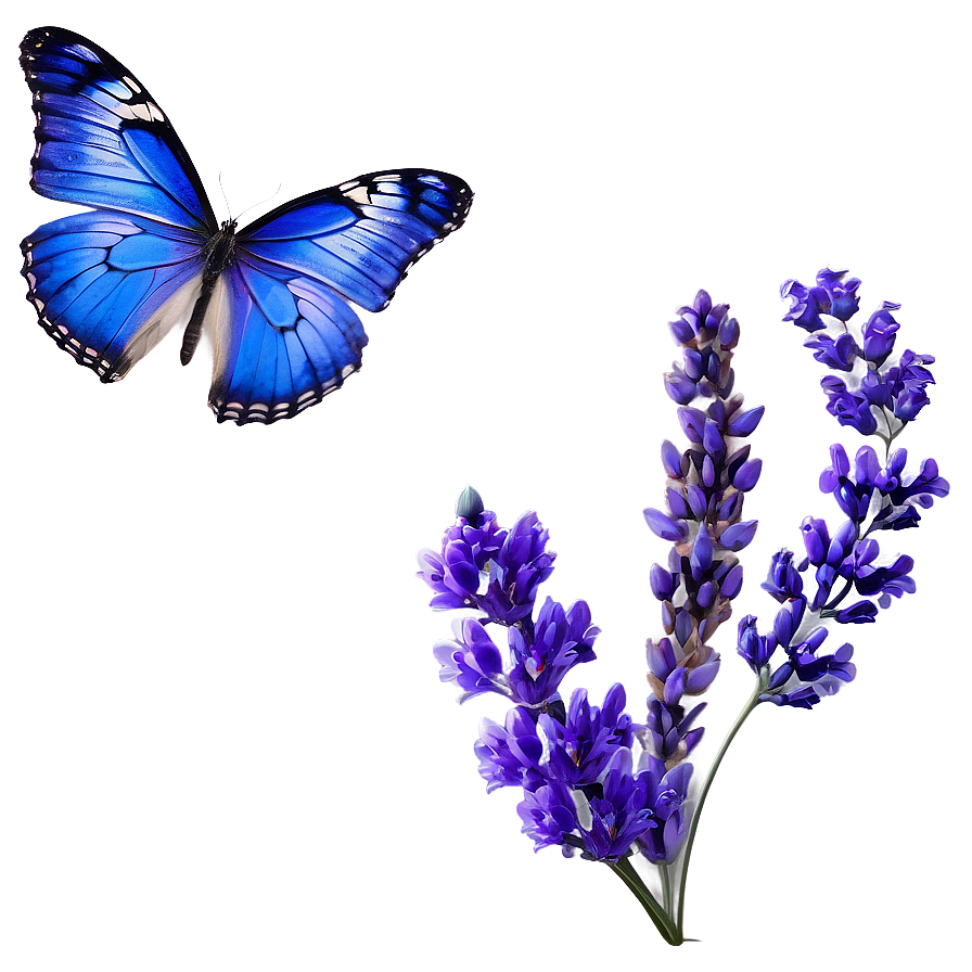 Blue Butterfly And Lavender Png 19 PNG Image