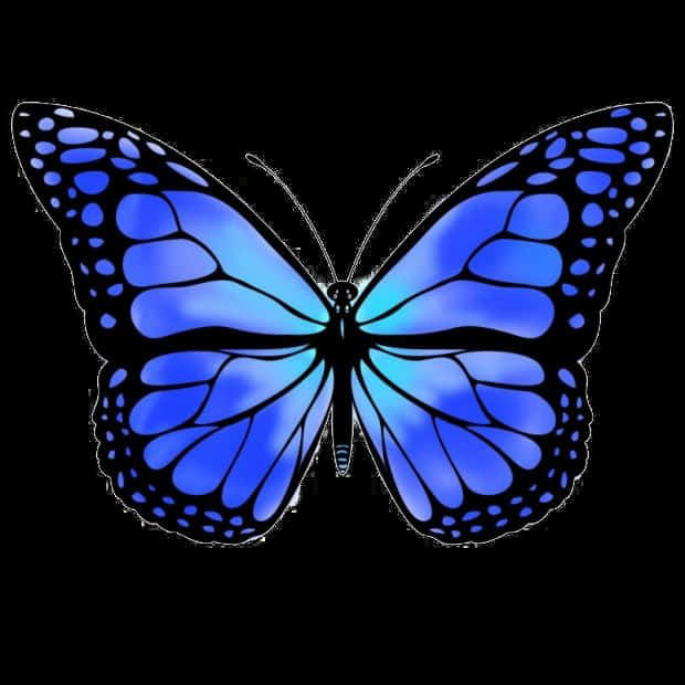 Blue Butterfly Graphic Art PNG Image