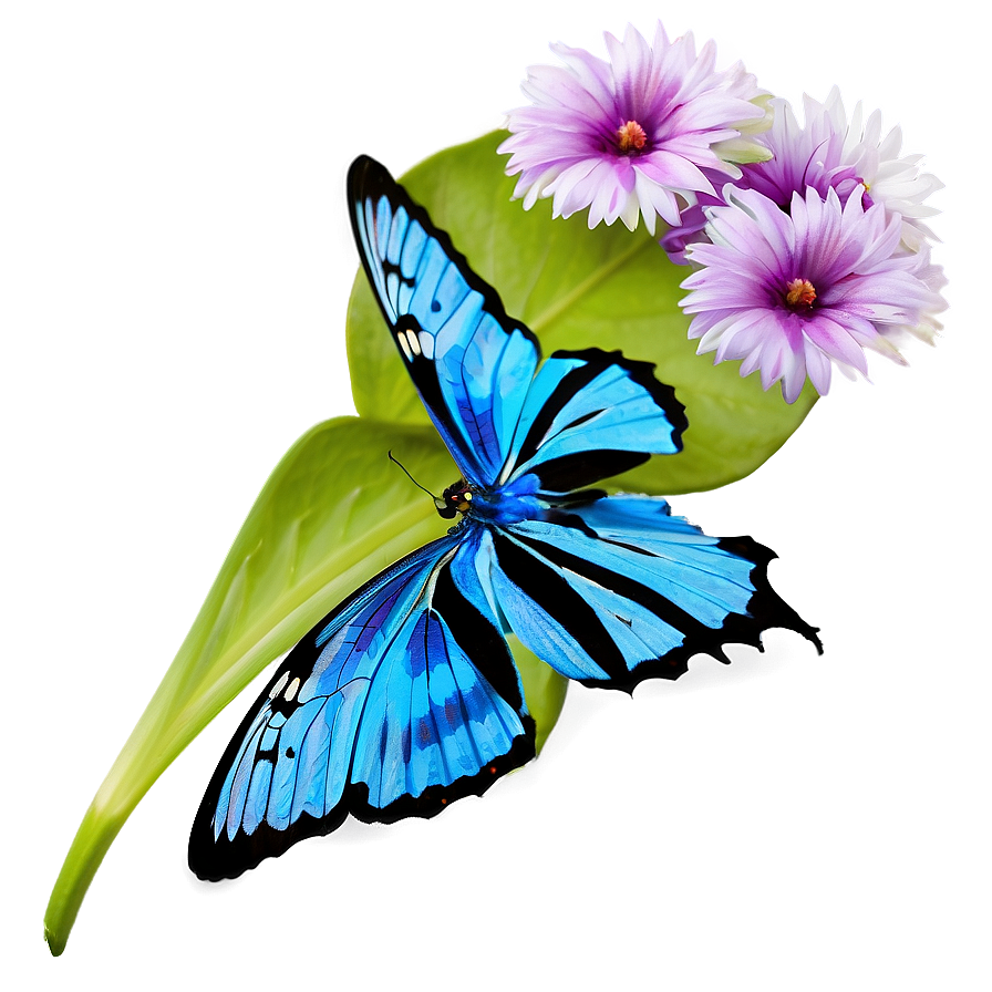 Blue Butterfly On Flower Png 84 PNG Image