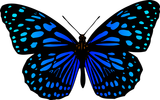 Blue Butterfly Silhouette Art PNG Image