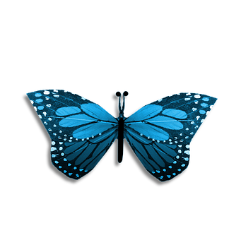 Blue Butterflyon Black Background PNG Image