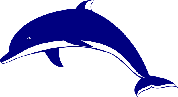 Blue Dolphin Graphic PNG Image