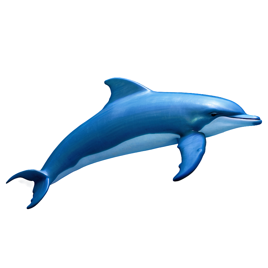 Blue Dolphin Png Jqa PNG Image