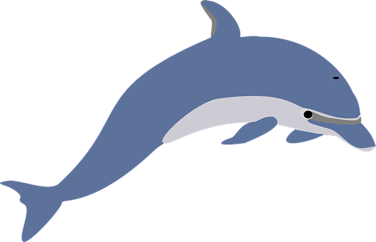 Blue Dolphin Vector Illustration PNG Image