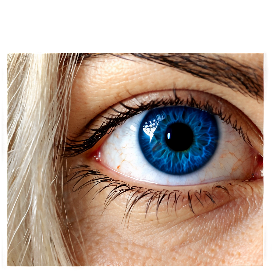 Blue Eyes Closeup Png Ram PNG Image