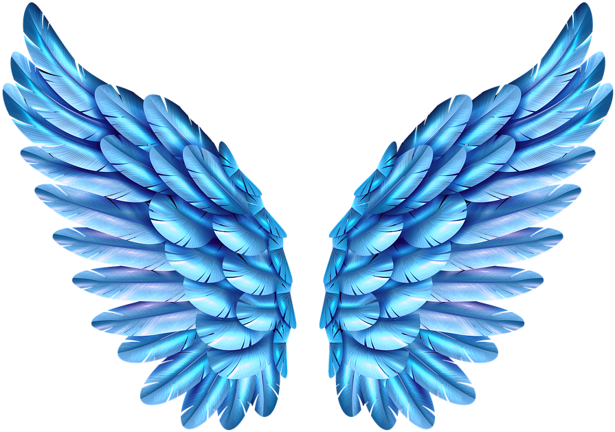 Blue Feathered Wings.png PNG Image