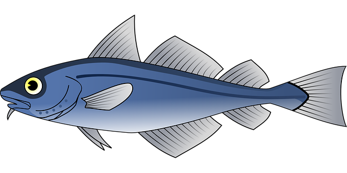 Blue Fish Illustration PNG Image