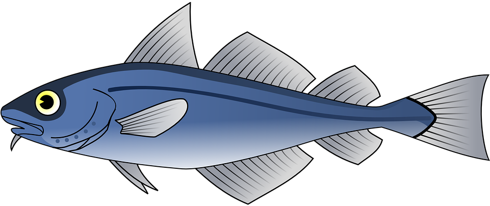 Blue Fish Illustration PNG Image