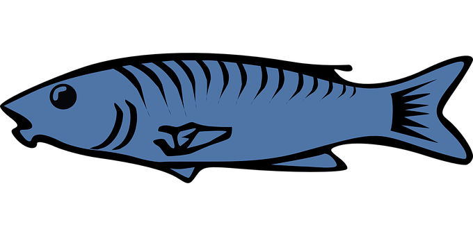 Blue Fish Silhouette Graphic PNG Image