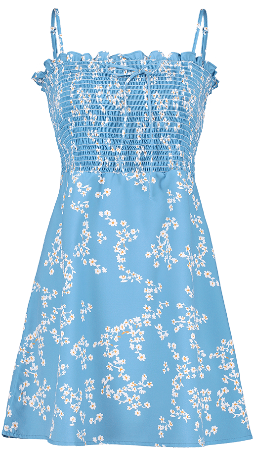 Blue Floral Summer Dress PNG Image