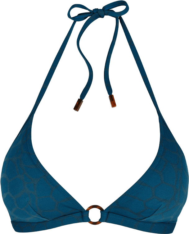 Blue Halterneck Bikini Top PNG Image