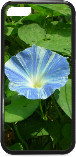 Blue Morning Glory Phone Case Design PNG Image