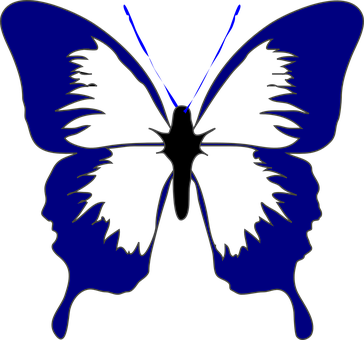 Blue Outlined Butterflyon Black PNG Image