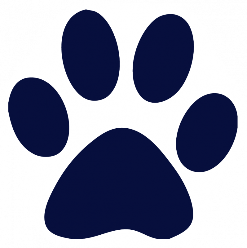 Blue Paw Print Graphic PNG Image