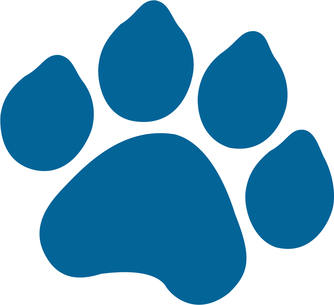 Blue Paw Print Graphic PNG Image