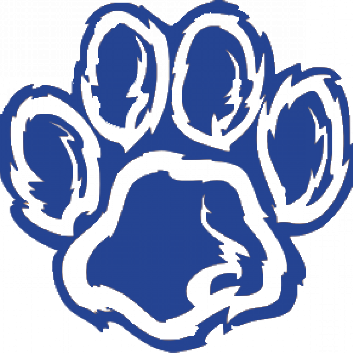 Blue Paw Print Graphic PNG Image