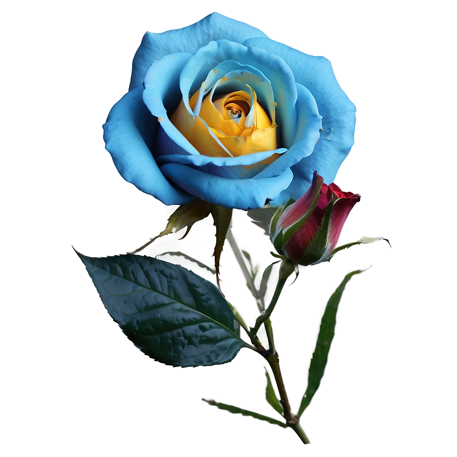 Blue Rose Design Png Nfp52 PNG Image