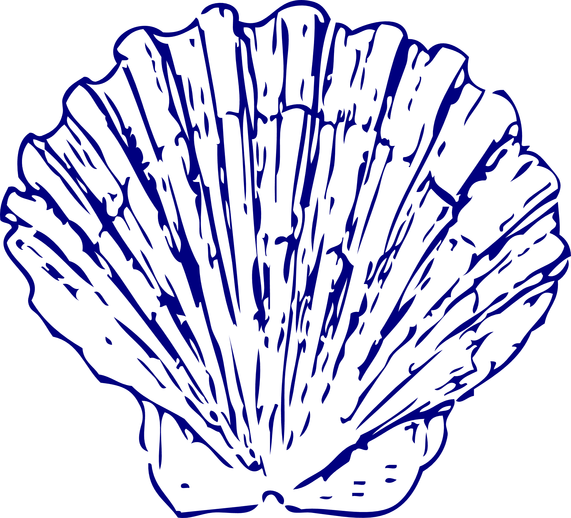 Blue Scallop Shell Illustration PNG Image